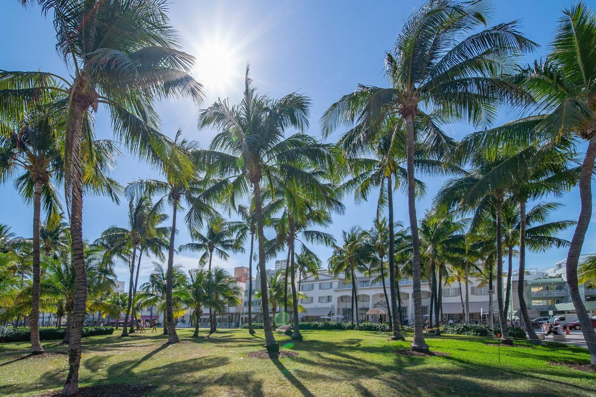 Beachy 1 B/R, W/2 Queen Beds, On Ocean Drive Beach Miami Beach Exteriör bild
